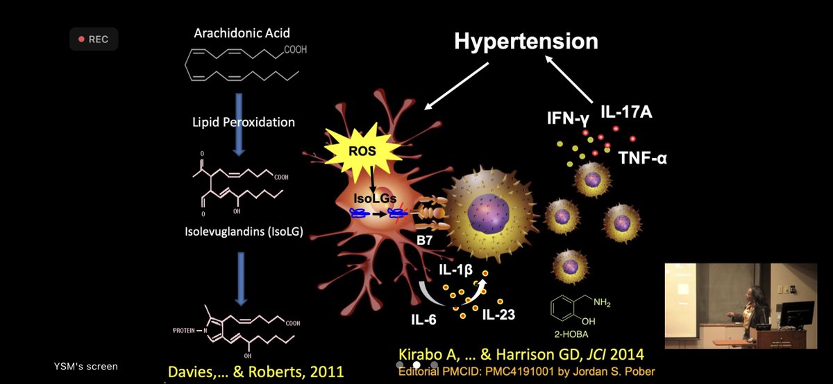 Such an insightful seminar by @annetkiraboc1 on our #SaltSensitivity study! Proud to be part of this research and work with wonderful colleagues. 
Special thanks to @YaleVBTProgram and @YaleCVRC for organizing this virtual meeting, allowing us to join remotely from Vanderbilt.