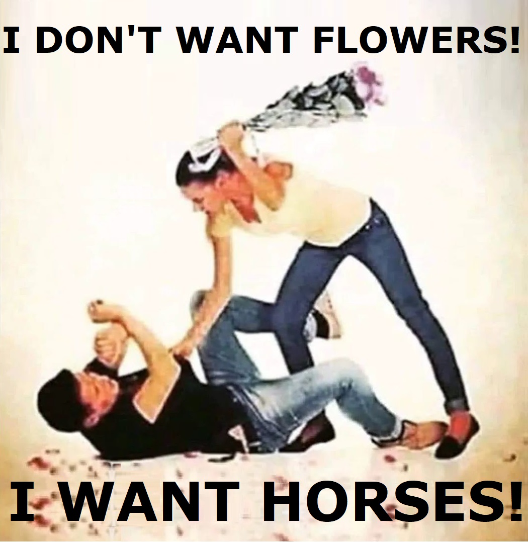 Take notes ✍🏻 #saddles #equestrian #horseriding #horse #horses #saddle #horsesofinstagram #tack #saddlery #equestrianlife