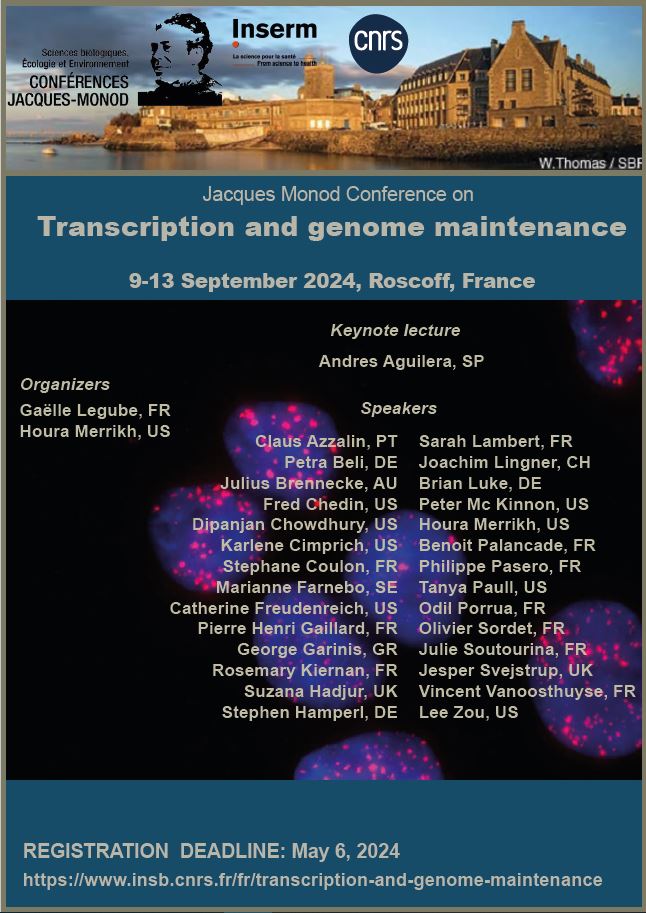 Registration is open for the next Roscoff meeting on Transcription and Genome maintenance! Great line up of speakers and many slots for selected talks! Hope to see you there! 👇insb.cnrs.fr/fr/transcripti…