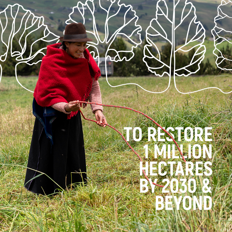 UNEP's tweet photo. Over 300 communities,
6 countries,
1 common goal

– saving the Andean forests!

The new @UN #GenerationRestoration Flagship @accion_andina aims to grow 30 million trees &amp; safeguard the biodiversity across the high Andes by 2030.