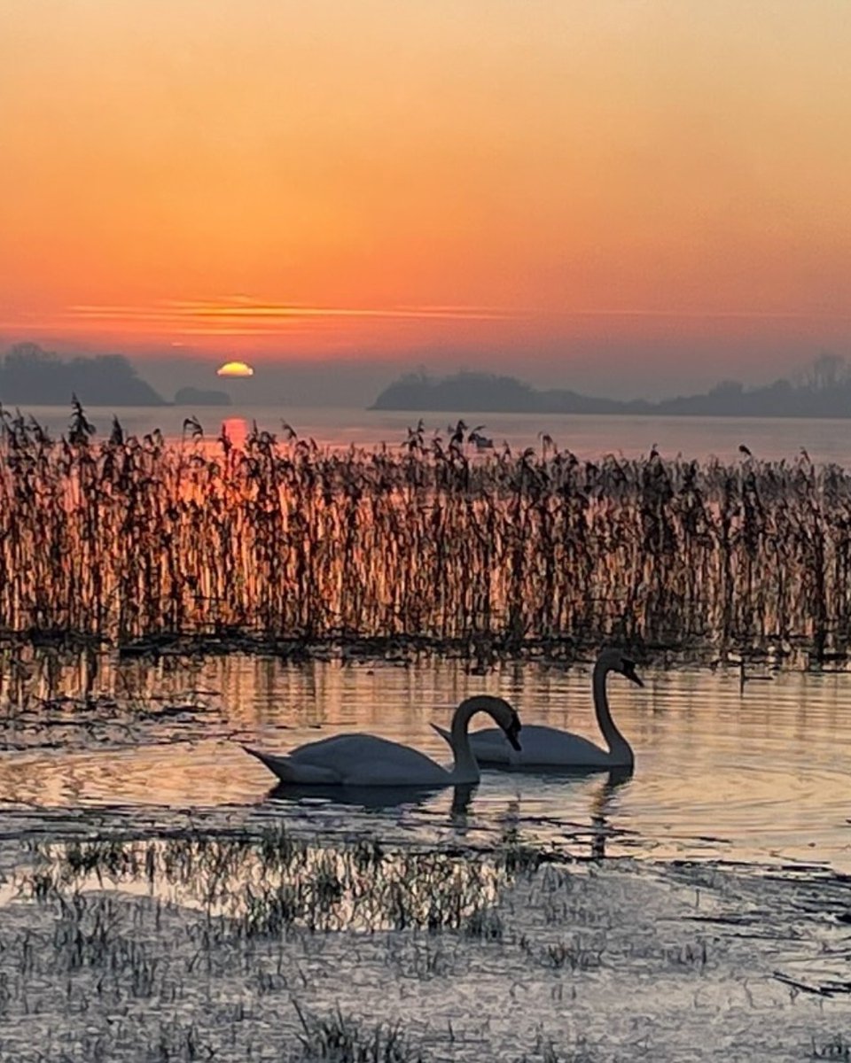 Love is in the air on #LoughRee 🥰 Tag who you would love to watch this sunset with in the comments below! 👇 📸 c.galvin27 [IG] #KeepDiscovering #IrelandsHiddenHeartlands