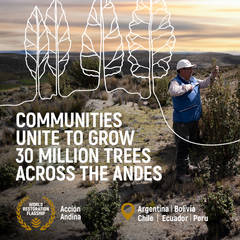 UNEP's tweet photo. Over 300 communities,
6 countries,
1 common goal

– saving the Andean forests!

The new @UN #GenerationRestoration Flagship @accion_andina aims to grow 30 million trees &amp; safeguard the biodiversity across the high Andes by 2030.