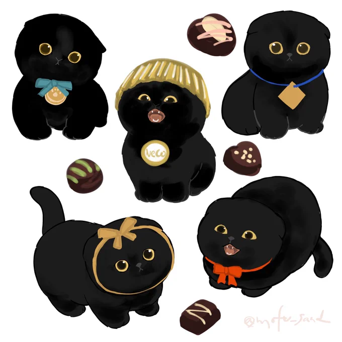 もらってください。チョコレートにゃんこ。 