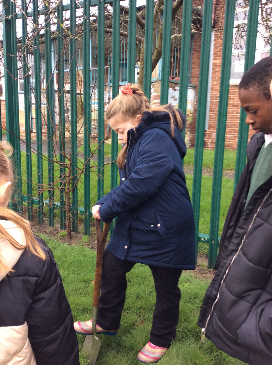 RachelDangerfi2's tweet photo. We had a wonderful assembly about tackling climate change from Tracey who works with the Metrocentre. Pupil parliament then planted Hawthorn, Field Maple and Hazel trees to do our bit for climate change! @Broadwoodschool https://t.co/xrYO7lh5ox