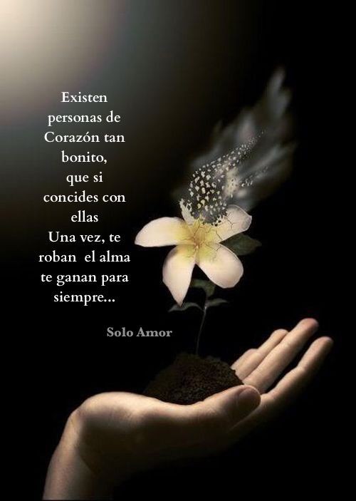 pancho8080's tweet photo. Existen personas...💫🌺 https://t.co/ppYSPACqLx