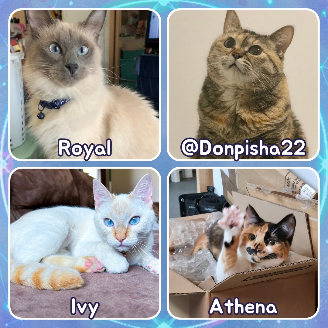 🐈‍⬛Cat Contest Finalists Round 1 🐈
We received so many entries! It was very difficult to pick the finalists!
We'll be doing two rounds of voting. This week will be the kitties from Twitter, Next week will be our discord cats!
We'll choose one winner from each group to be turned