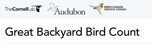 Join the #GreatBackyardBirdCount! Check out the birds at Cider Keg Farm Market #NorfolkCounty! Here’s how to get involved: birdcount.org/participate/