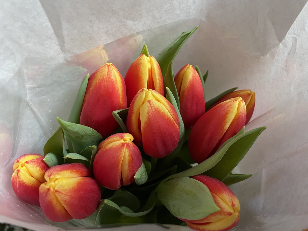 Happy Valentine’ day with tulips 😍🥰♥️