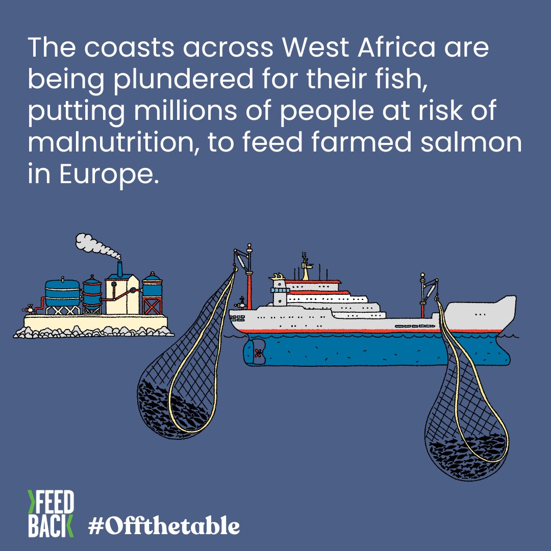 75,000 people are already telling <a href="/wagamama_uk/">wagamama uk</a> to quit serving farmed salmon in its 190+ restaurants around the world. 

✍️SIGN and SHARE:
actions.eko.org/a/wagamama-sal…