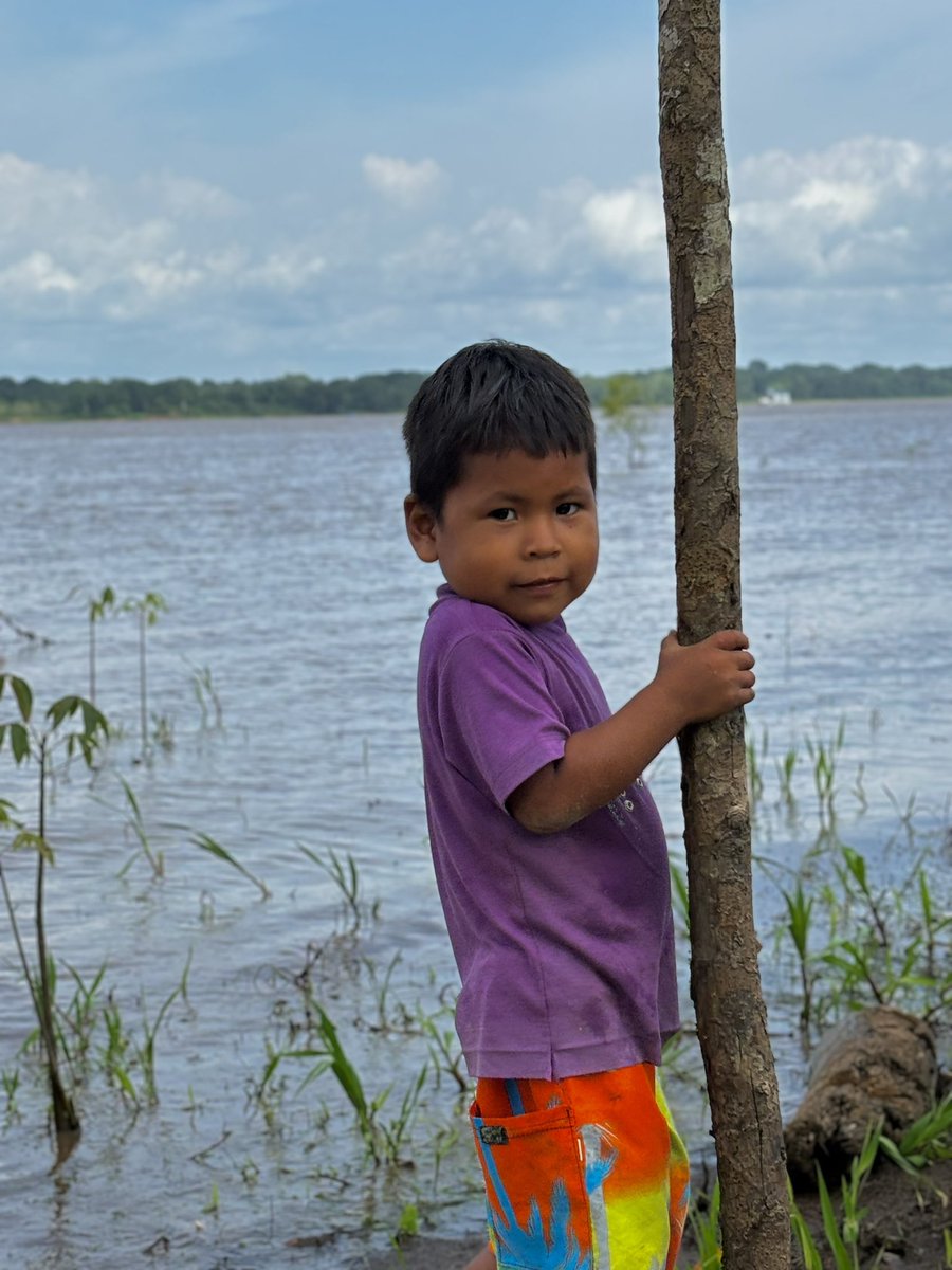 Nunca lograré entender al mundo … ¿Inocencia disfrazada de belleza?