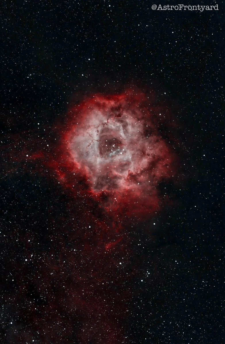 AstroFrontyard tweet media