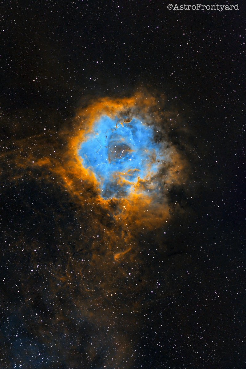 AstroFrontyard tweet media