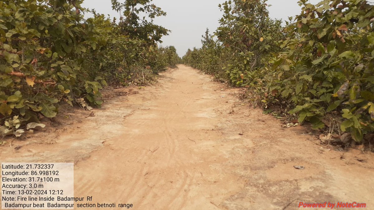 DFO Baripada (T) tweet media