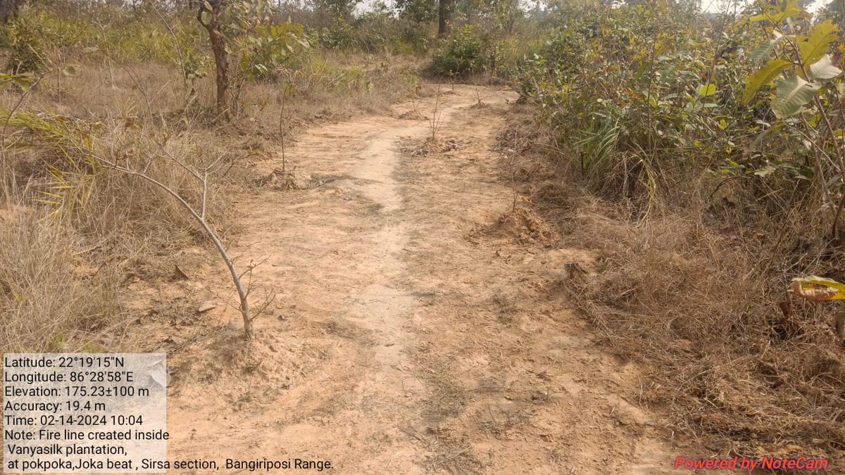 DFO Baripada (T) tweet media