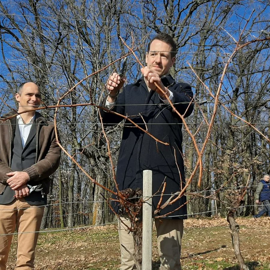 Филип Карађорђевић tweet media