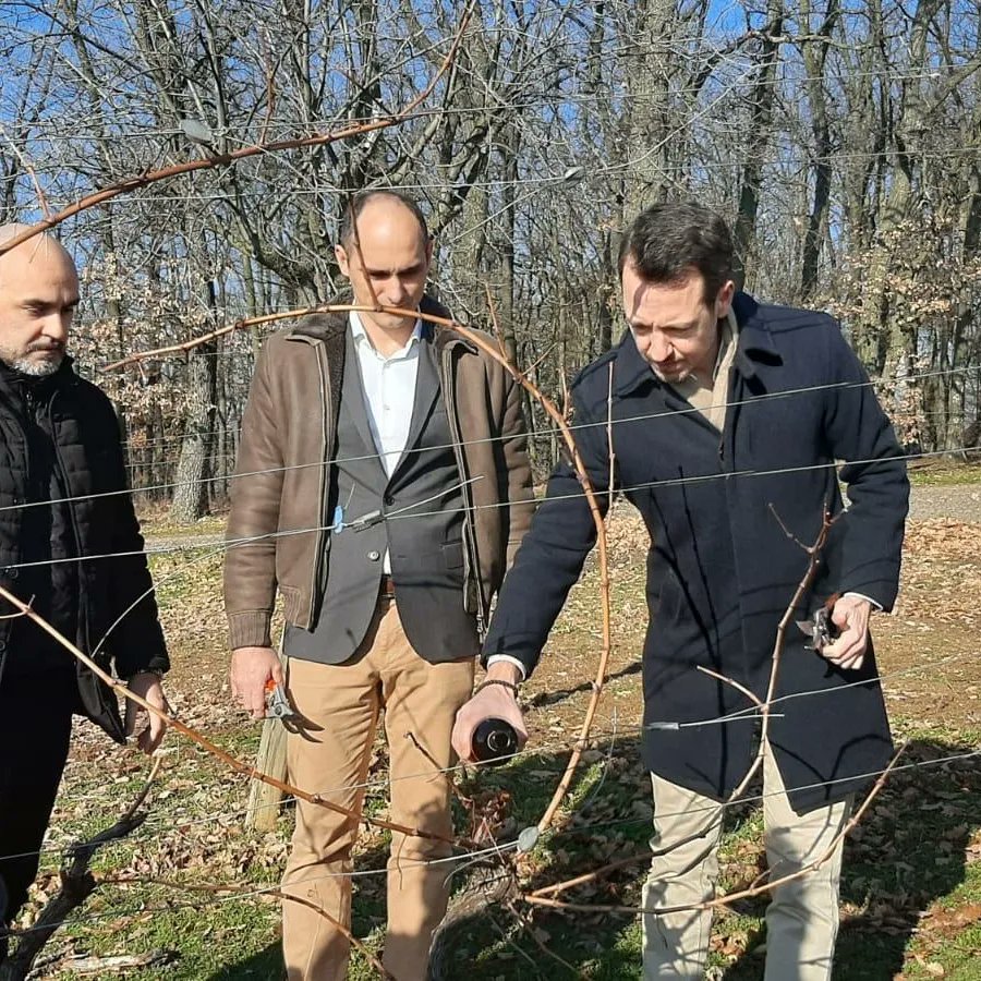 Филип Карађорђевић tweet media