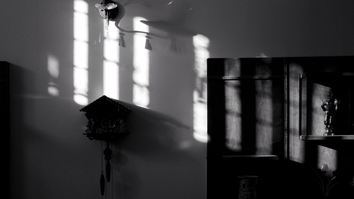 SanjayRishab's tweet image. Golden hour stills at my uncle's place! 
#proMode #withGalaxy