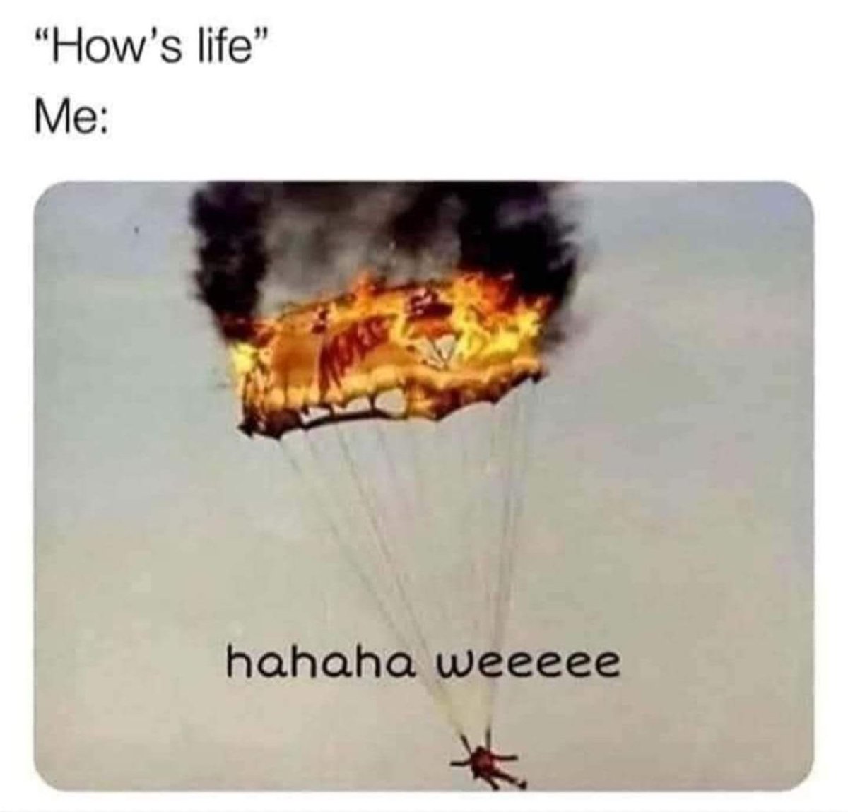 JumbledAround's tweet image. 