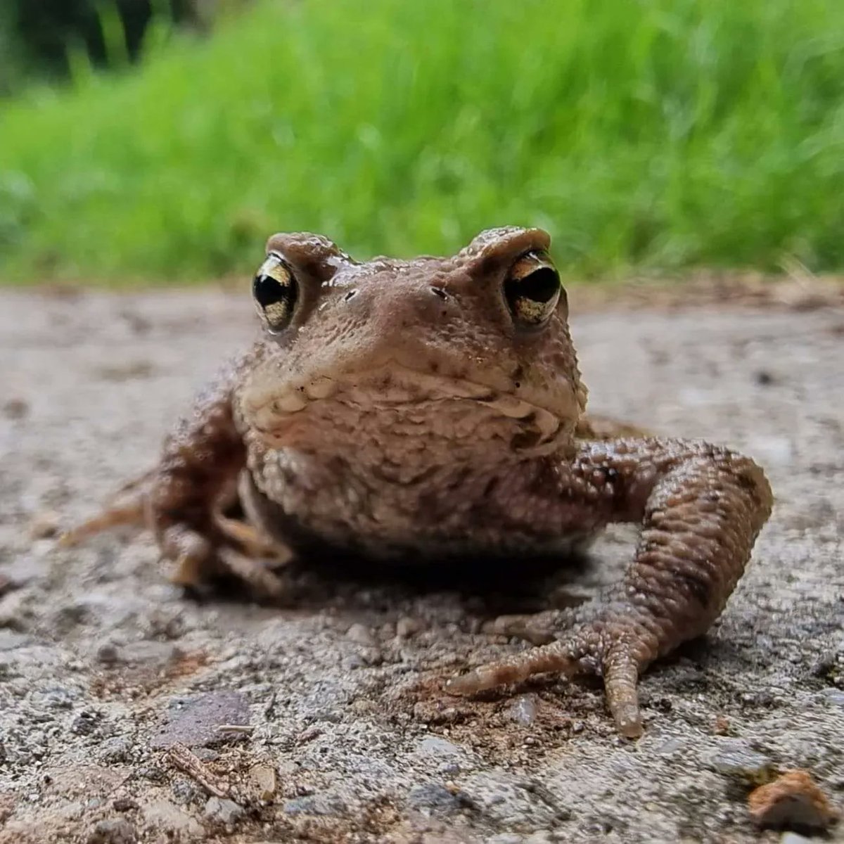 IvnKnnvAssen's tweet photo. Help je de padden in Assen mee oversteken?

Meld je dan nu aan! 

Zie Alt text voor meer informatie https://t.co/m8iJxWTrQx