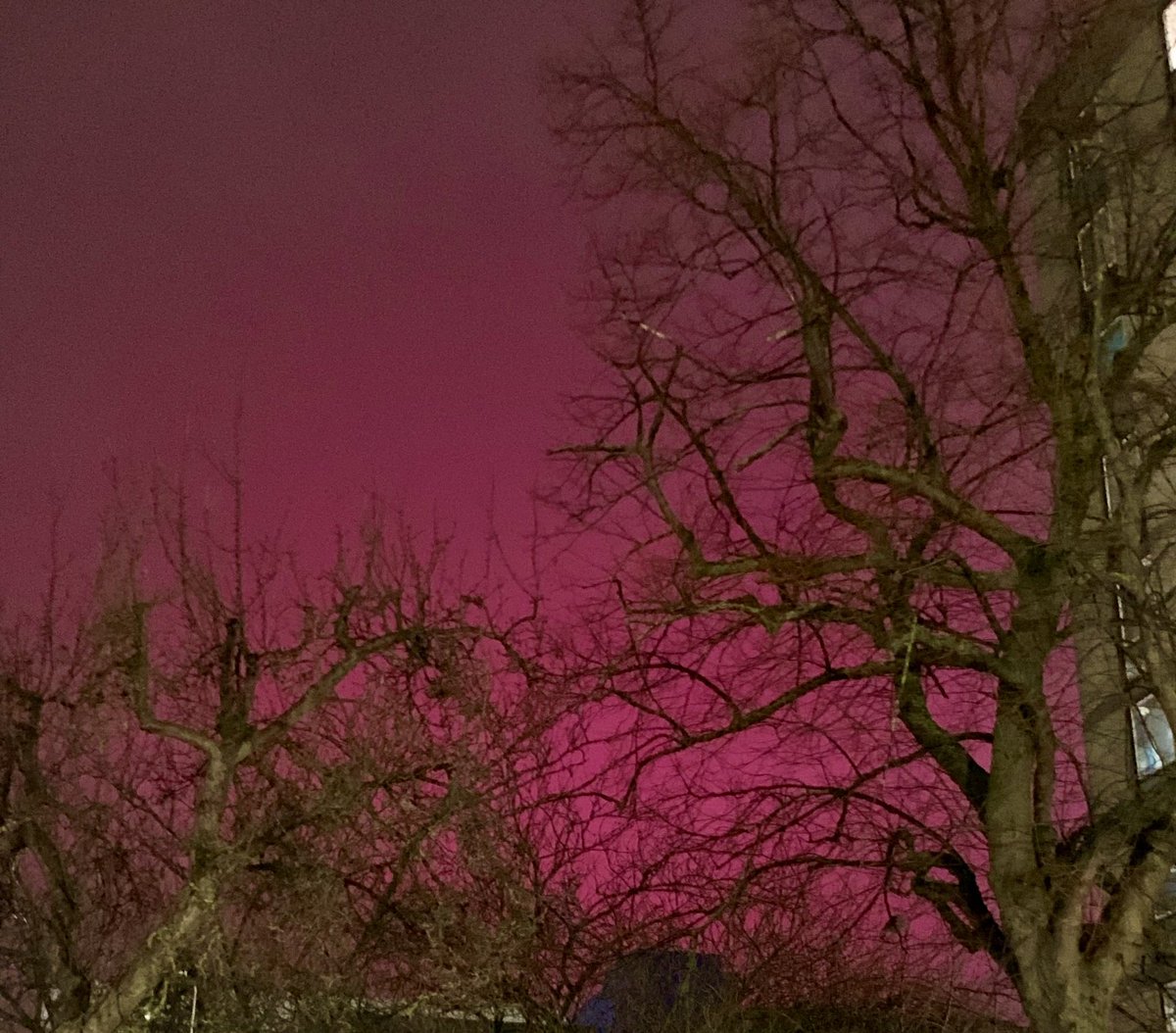 pandapoo67's tweet image. The sky last night was a beautiful colour