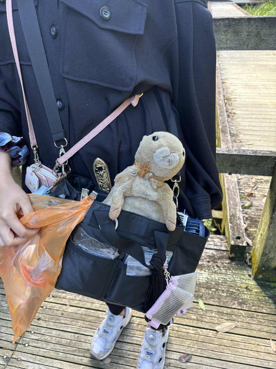 しげちゃんもインスタやっているので良かったらフォローしてあげて