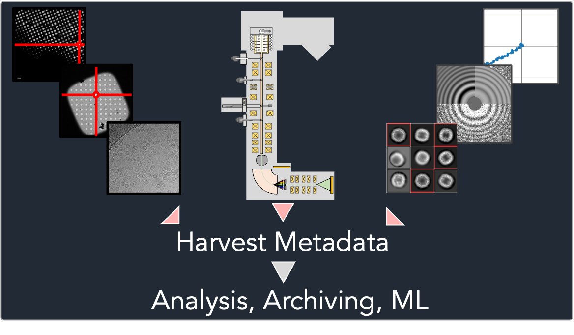 Happy to share our preprint on a tool that prototypes #cryoEM metadata harvesting! EMinsight analyses and reports on microscope configuration and experimental outcomes. We see potential applications in making data driven decisions, archiving, ML and more.
doi.org/10.1101/2024.0…