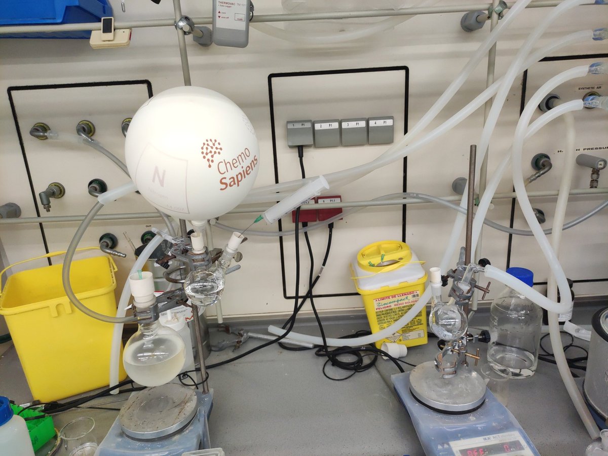 It's time for some reactions under inert atmosphere with our new balloons from <a href="/ChemoSapiens/">ChemoSapiens</a> in the
<a href="/Echavarren_Lab/">Echavarren Lab</a> .

#ChemoSapiensRaffle