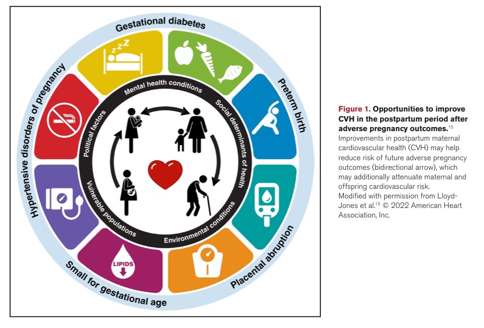 Ed_Alania's tweet photo. 🔴 Opportunities in the Postpartum Period to Reduce CV Disease Risk After Adverse Pregnancy Outcomes @CircAHA @American_Heart #CardioEd #Cardiology #cardioObs #FOAMed https://t.co/vnlZguF439