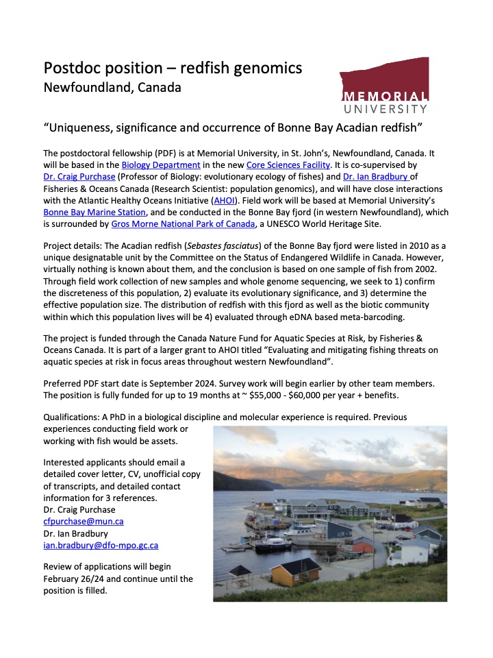 I have a new postdoc position <a href="/MemorialUSci/">Faculty of Science, Memorial University</a> to work on Acadian redfish genomics, in collaboration with Ian Bradbury of DFO. 

Details below.
Please RT
<a href="/scas_scsa/">Society of Canadian Aquatic Sciences</a> <a href="/AmFisheriesSoc/">American Fisheries Society</a> <a href="/TheFSBI/">fsbi</a> <a href="/CARSAFS/">CARS</a> #postdoc