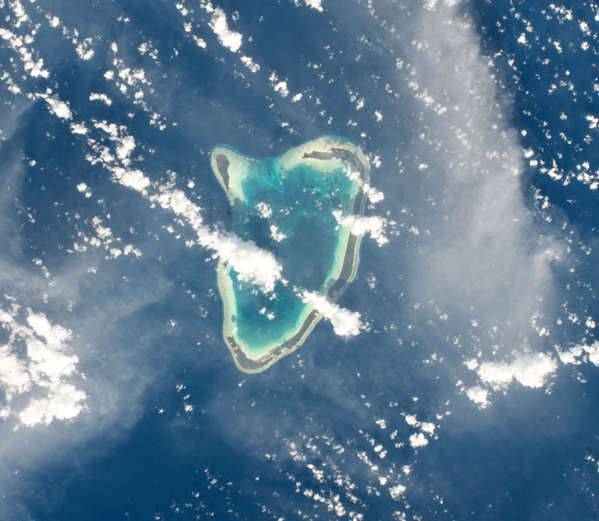 Like a real heart beating in the middle of the Pacific Ocean. 

I spotted the Abemama Island from the <a href="/Space_Station/">International Space Station</a>, and managed to capture a few of the sixteen atolls of the Gilbert archipelago in Kiribati. 🇰🇮

Happy Valentine's Day, #SpaceLovers! 💘