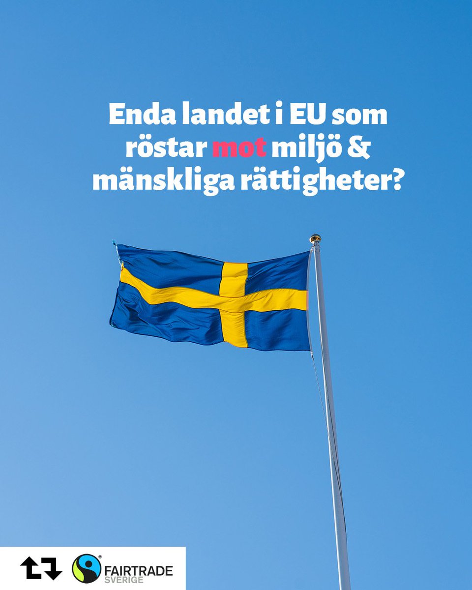 Swedwatch's tweet photo. Enligt uppgifter i Bryssel är Sverige det enda land som planerar att rösta nej till det historiska EU- direktivet för företags ansvar för mänskliga rättigheter, miljö och klimat #CSDDD Vad säger det om Sverigebilden? @BuschEbba https://t.co/jTwrUvk7Sa