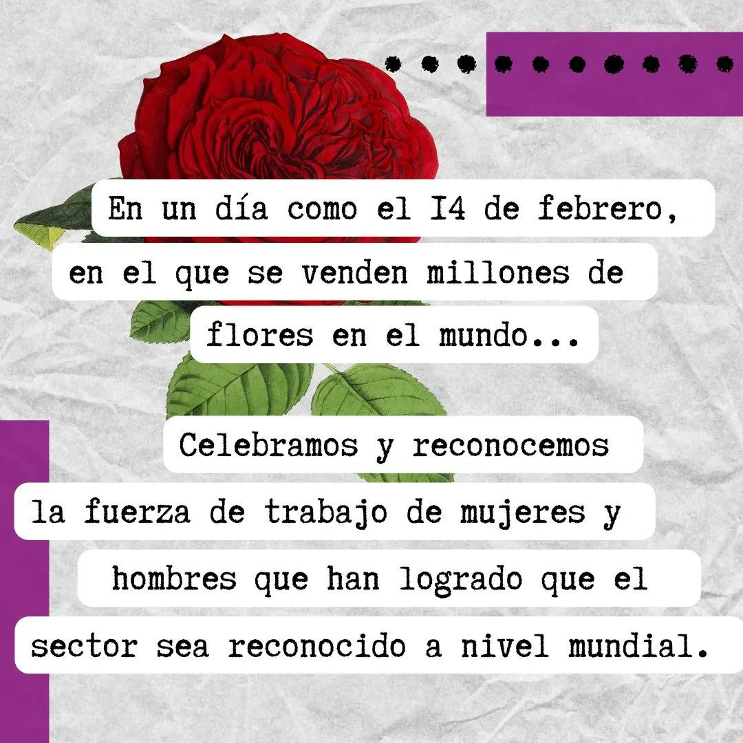 Pact Colombia tweet media