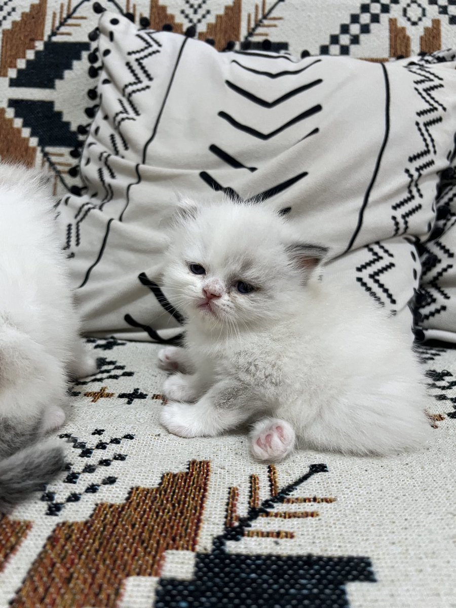 luluhusnaa's tweet photo. Lelah setelah seharian ikut pesta rakyat https://t.co/Ug9FnjZTMN
