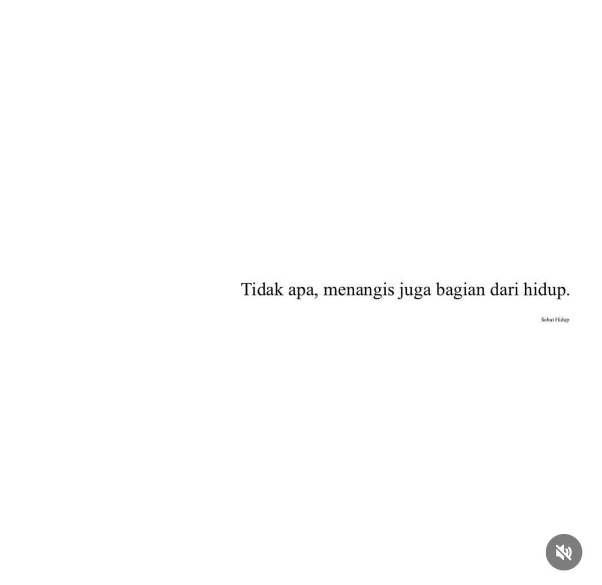 Overthinking tweet media