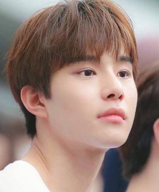 zeusperior's tweet photo. SM rookie Jungwoo   Jungwoo for Peripera https://t.co/e04xMbuWQb