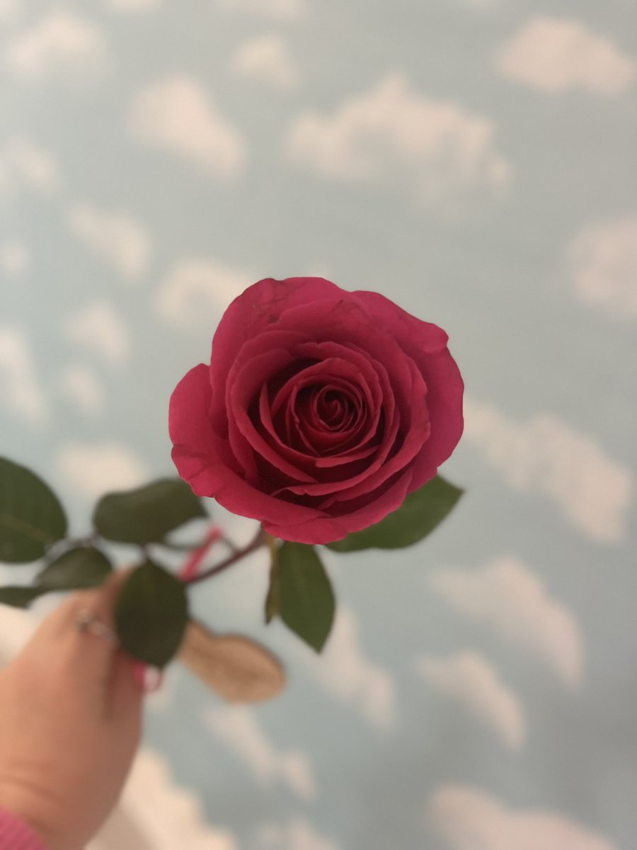 The cutest gesture! ☺️🌹💕
 ¡Muchas Gracias!  #DíaDeSanValentín