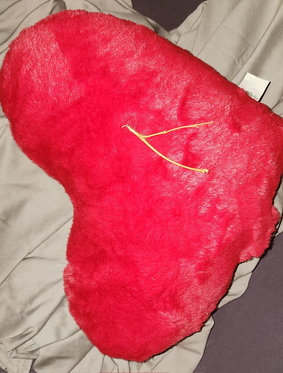 nineoclocktiger's tweet photo. @woolworths Just had to remove this pretty sturdy twig from inside the heart cushion I bought from you guys for Valentines after it poked my gf! Might want to review your supply chain... https://t.co/CYON8NNEb3