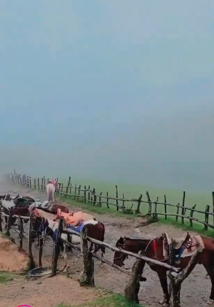 Abraham Martinez tweet media