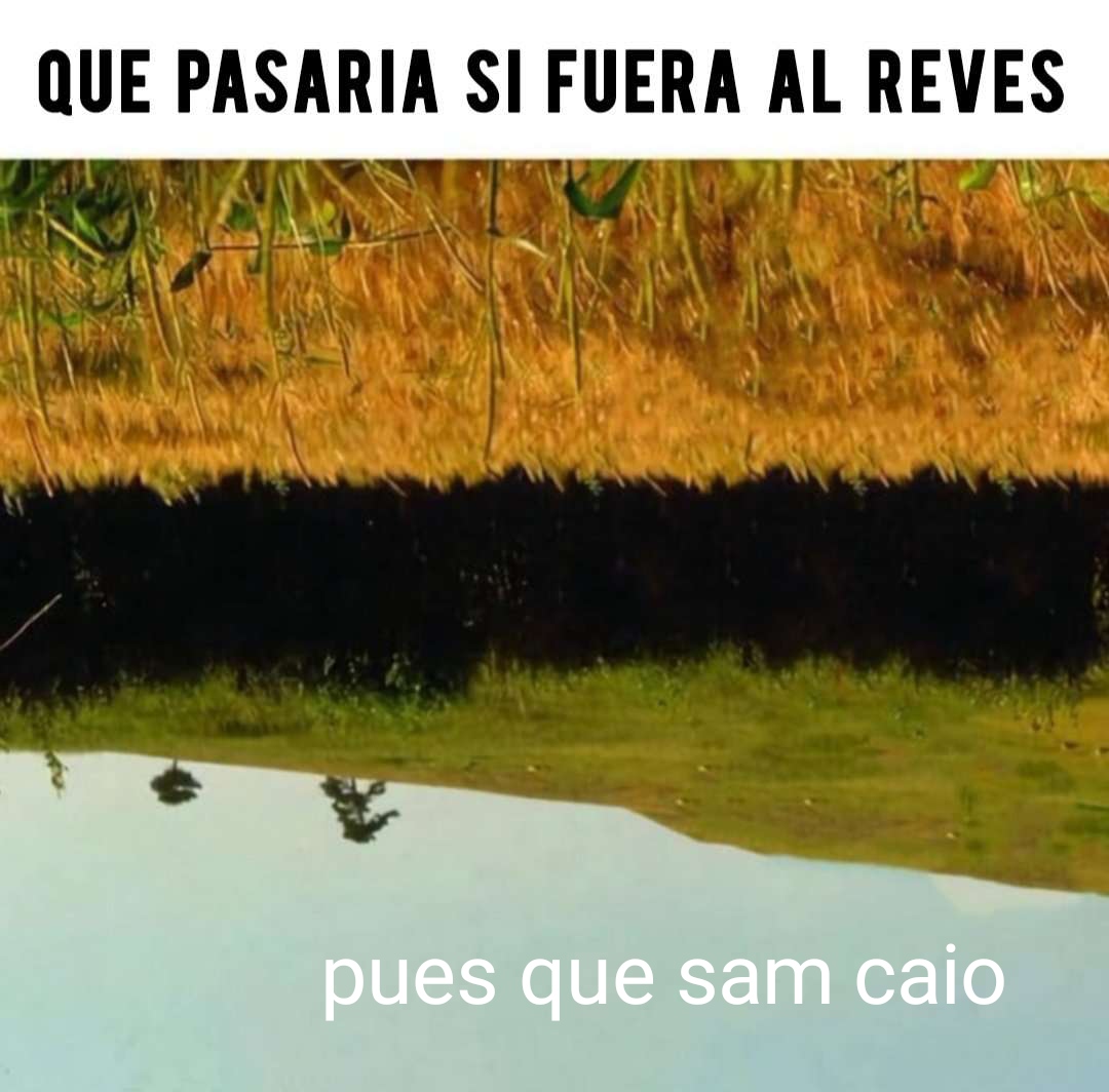wikipistacho's tweet photo. https://t.co/uWly1YWulG