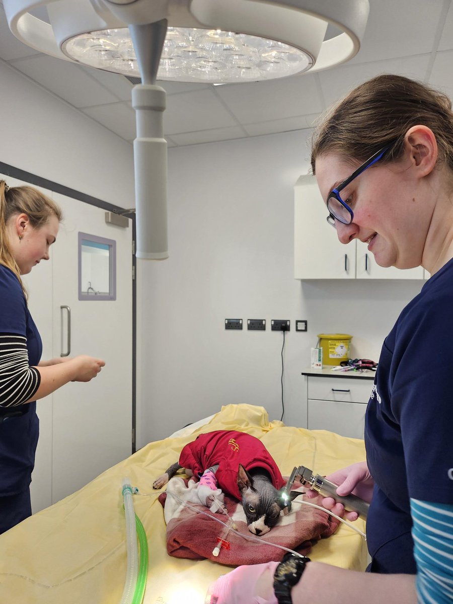 Garden Vets At Keele tweet media