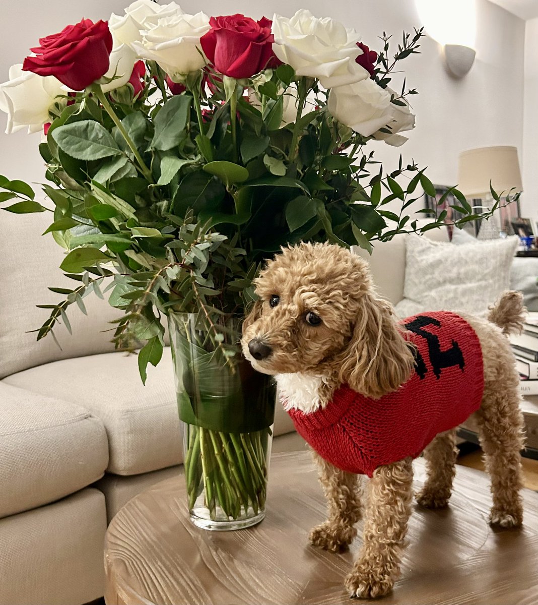 Happy Valentine’s Day everyone!!! Sending lots of love and hugs 💘🐾