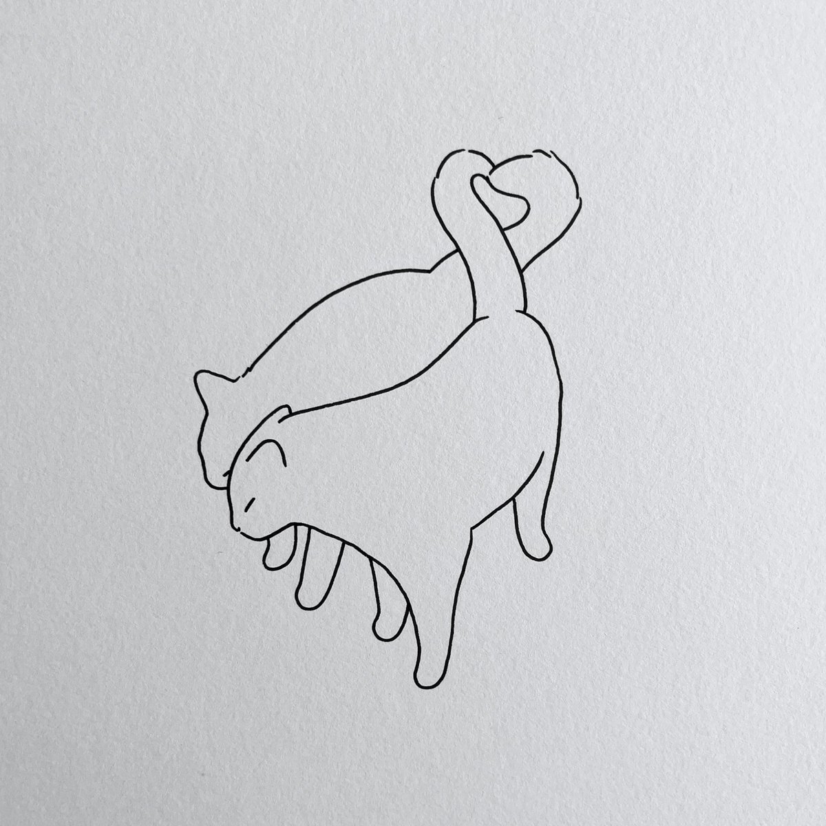 poorlycatdraw's tweet image. me and you when a witch turned us into two orange cats