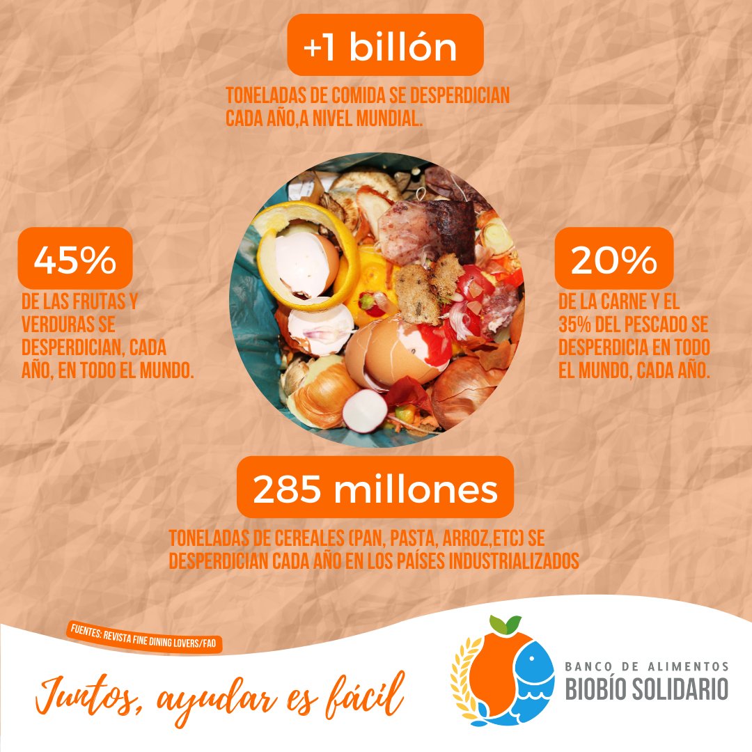 Banco de Alimentos Biobío Solidario tweet media