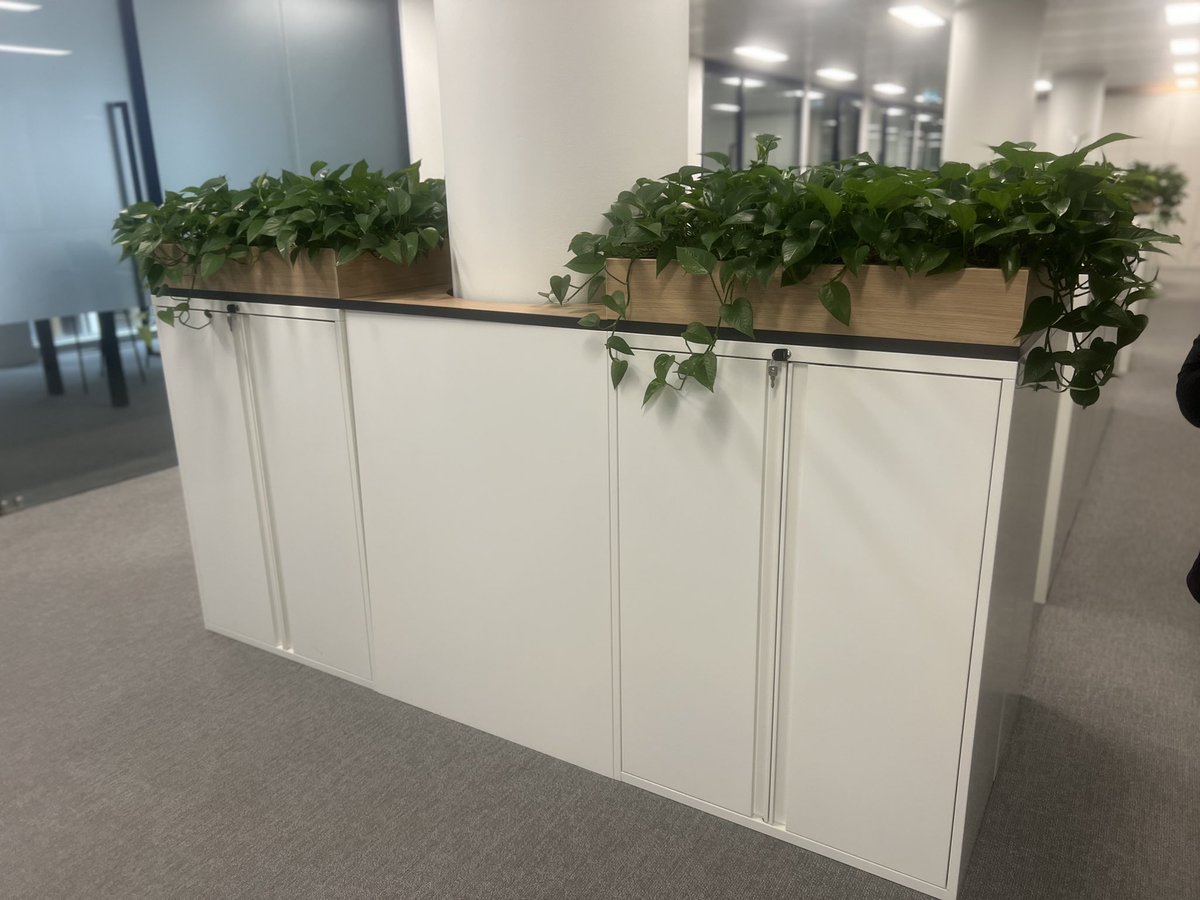 Exciting news! 
Our team just installed these innovative cabinet planters, bringing a touch of greenery to your office without sacrificing space. Elevate your workspace with functional, storage planters serve as natural dividers. Embrace the biophilic trend 🌿  #BiophilicDesign