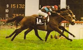 blindadosalas1's tweet photo. #Hipismo Llegó entonces 1981 y con él, la consagración: Ganó de nuevo el Hollywood Int. (Laffit Pincay arriba), el primer Arlington Million (Foto) y la #JCGC (Bill Shoemaker, Foto), suficiente para llevarse los títulos de Campeón Gramero, Campeón Maduro y Caballo del Año. https://t.co/S7VyJWS0eT