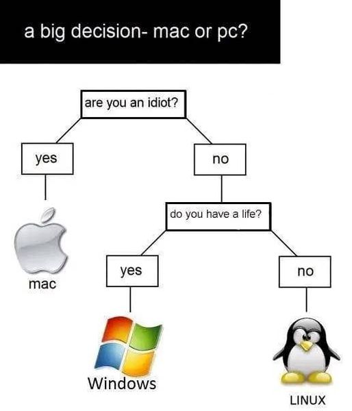 As a programmer - what OS do you use?