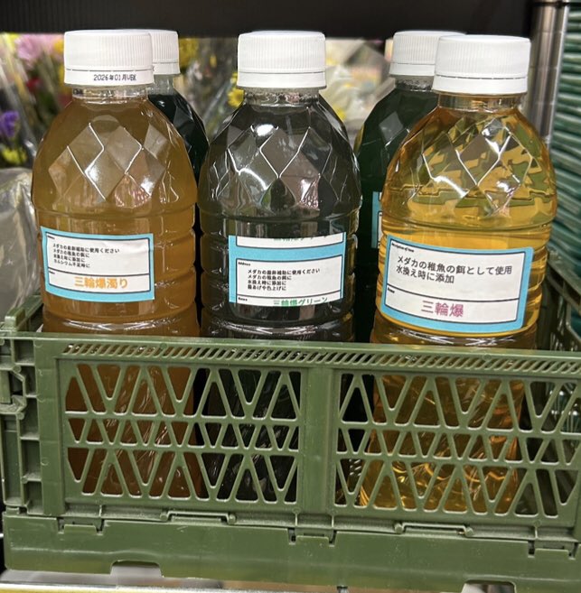 バレンタイン限定
三輪爆500ミリ
500円
三輪爆グリーン
三輪爆濁り
500みり
800円

おまちしてます。
発送は、2個まで宅配便コンパクト500円

お支払いは銀行振り込み
もしくは、 pay pay

３点セットは2000円