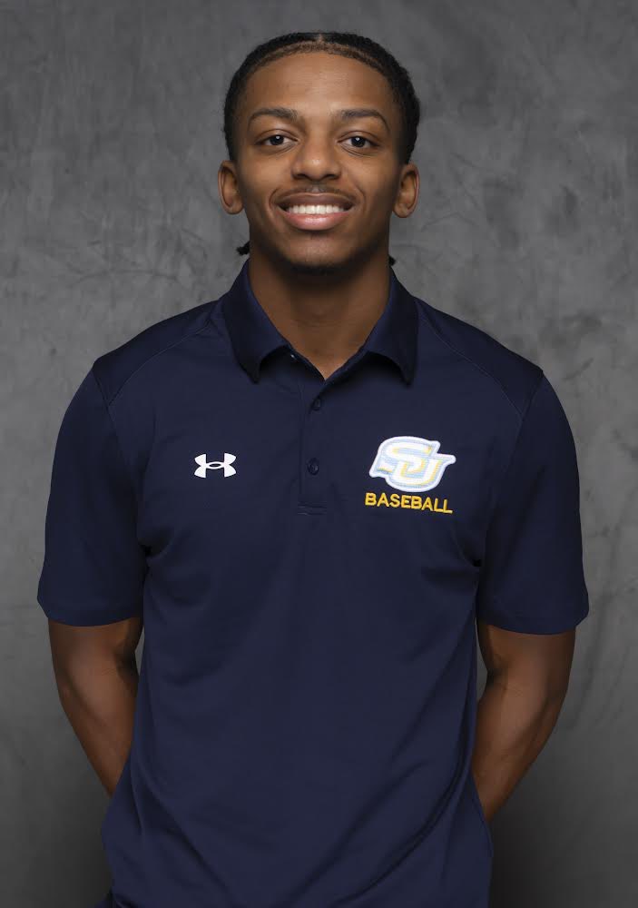 SPRING LION BASEBALL tweet media