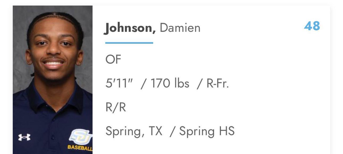 SPRING LION BASEBALL tweet media