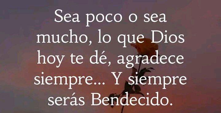 David 👑🇳🇮 tweet media